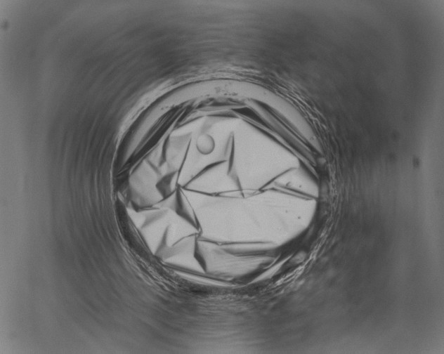 X0000062130244200601060905