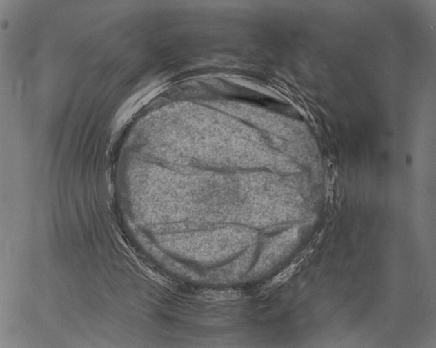 X0000062130245200601060905