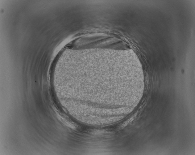 X0000062130246200601060905