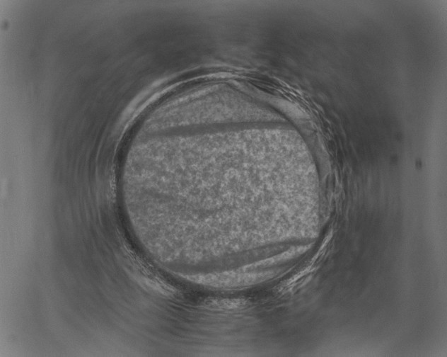 X0000062130247200601060905