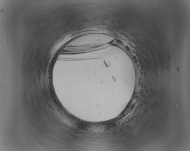 X0000062130248200601060905