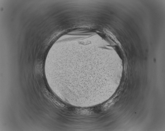 X0000062130249200601060905