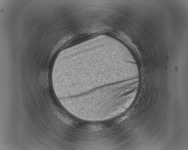 X0000062130250200601060905