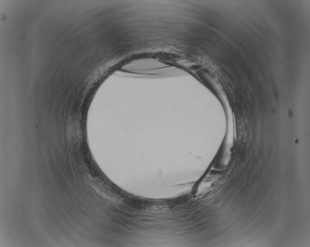 X0000062130252200601060905