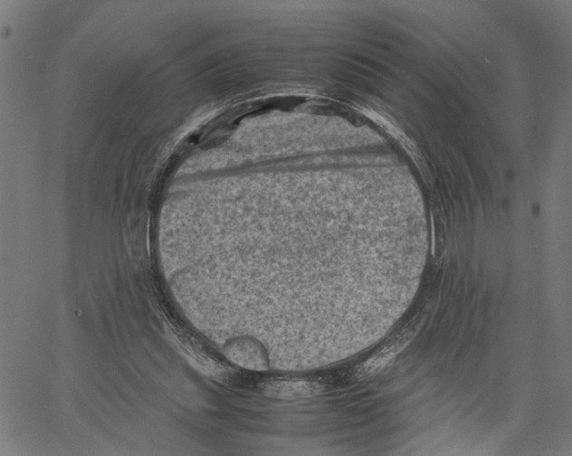 X0000062130253200601060905