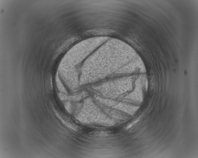 X0000062130254200601060905