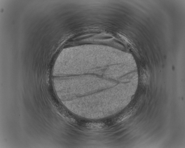 X0000062130255200601060905