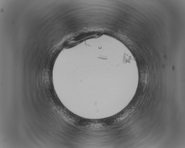 X0000062130256200601060905