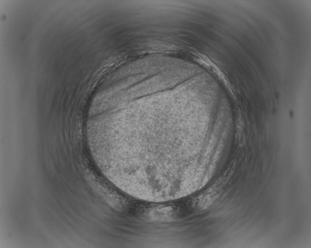 X0000062130257200601060905