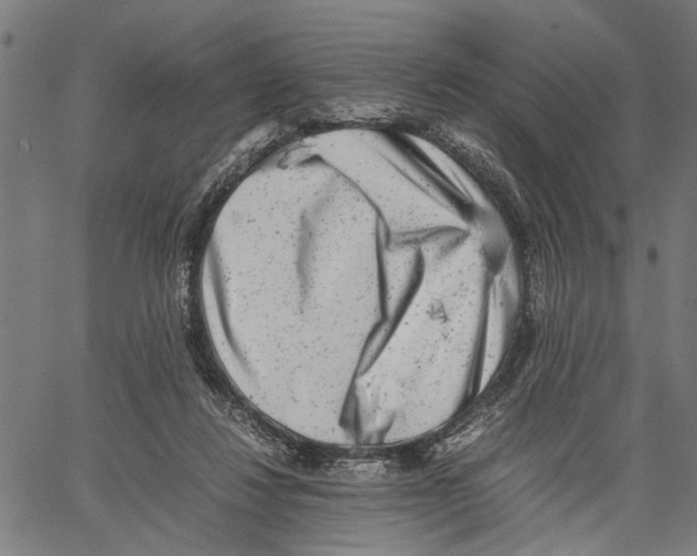 X0000062130260200601060905