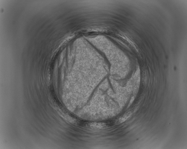 X0000062130261200601060905