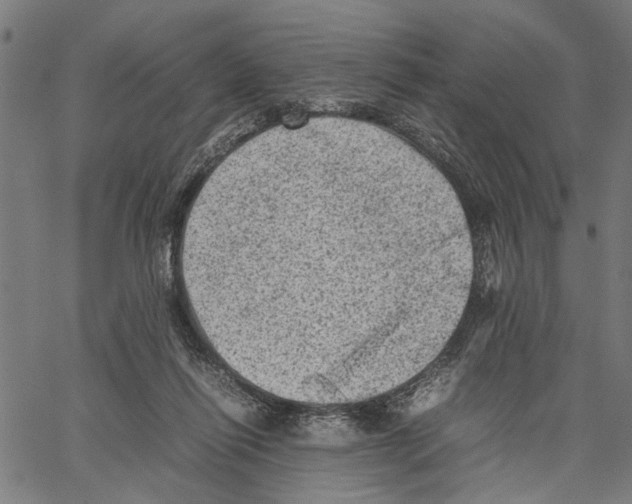 X0000062130262200601060905