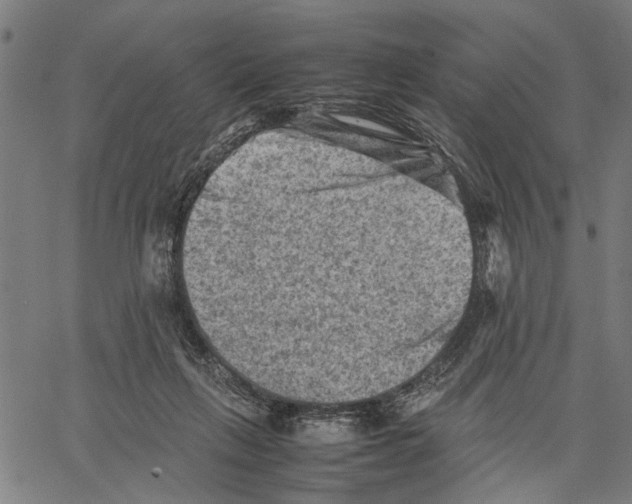 X0000062130263200601060905