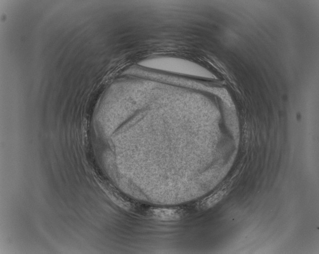 X0000062130265200601060905