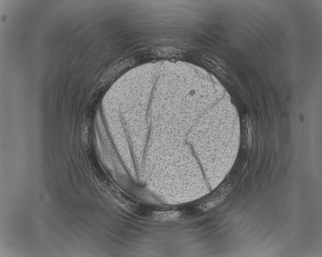 X0000062130266200601060905