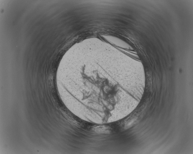 X0000062130269200601060905