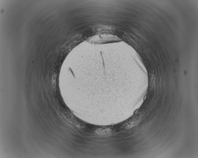 X0000062130271200601060905