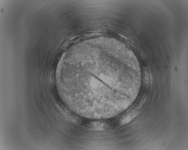 X0000062130272200601060905