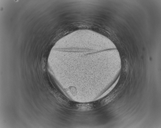 X0000062130273200601060905