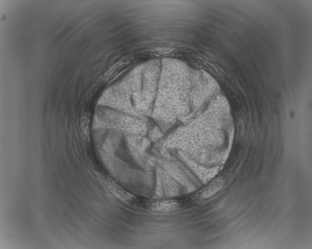 X0000062130274200601060905