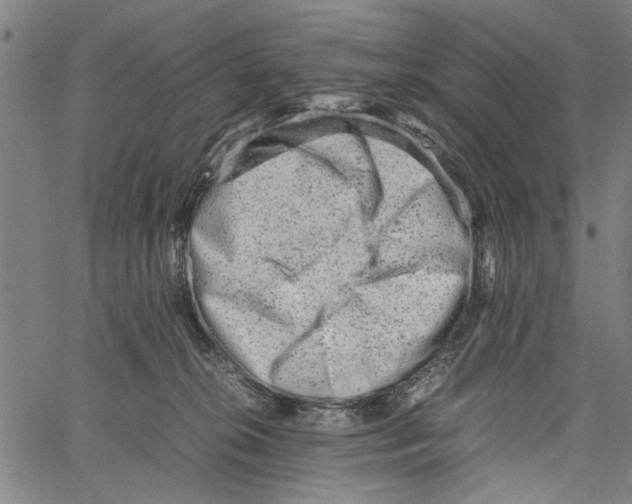 X0000062130276200601060905