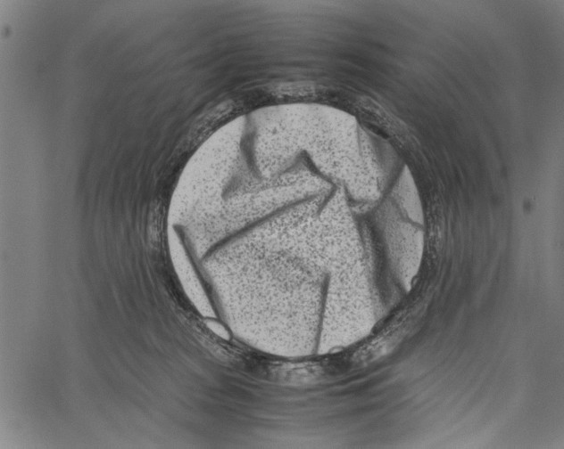 X0000062130277200601060905