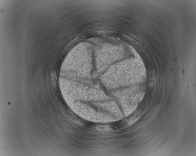 X0000062130279200601060905