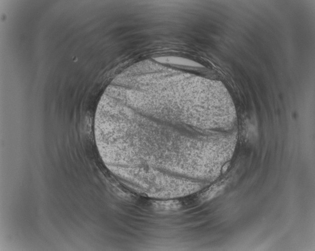 X0000062130281200601060905