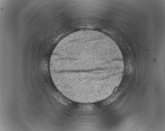 X0000062130282200601060905