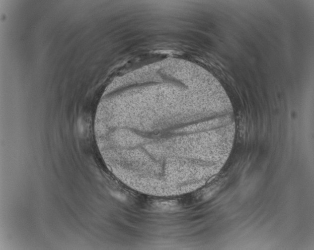 X0000062130283200601060905