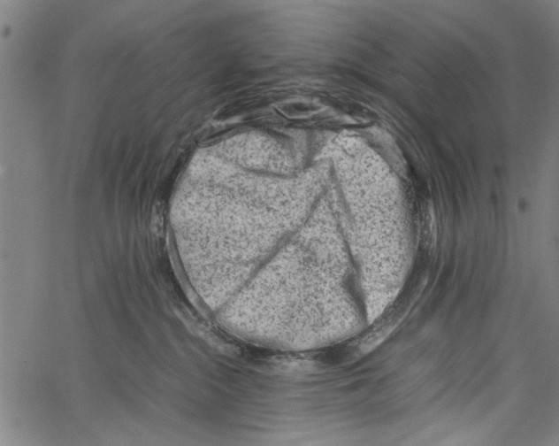 X0000062130284200601060905