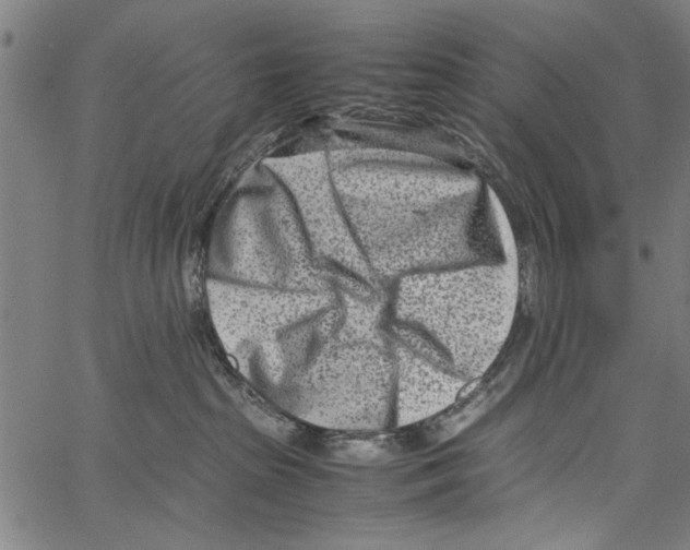 X0000062130285200601060905