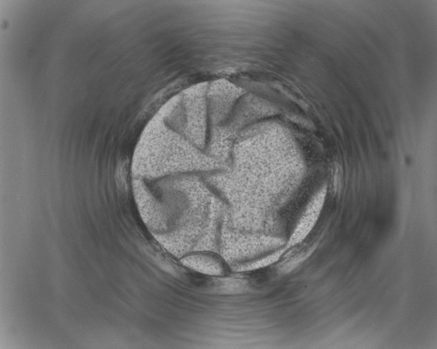 X0000062130286200601060905