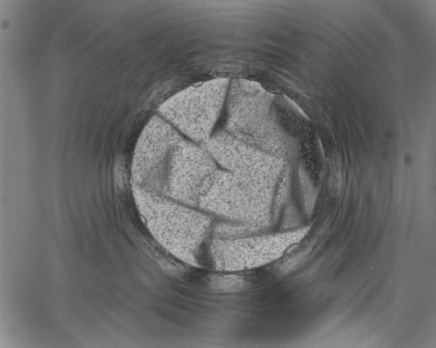 X0000062130287200601060905