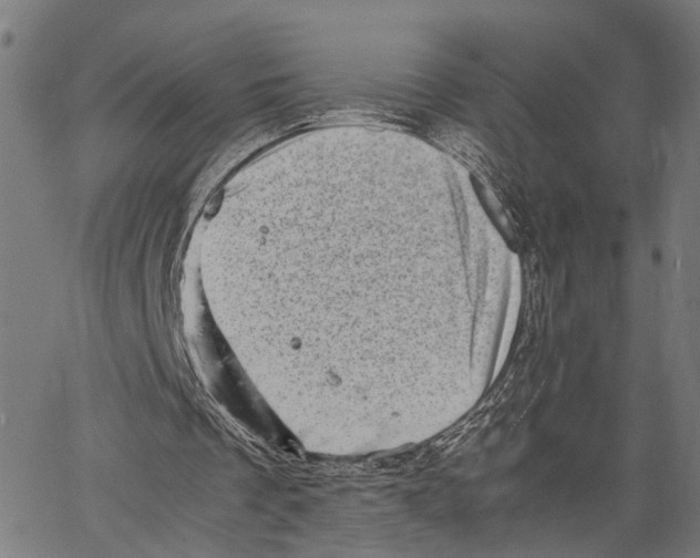 X0000062130289200601060904