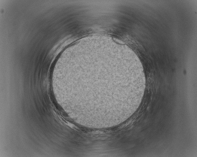 X0000062130290200601060904