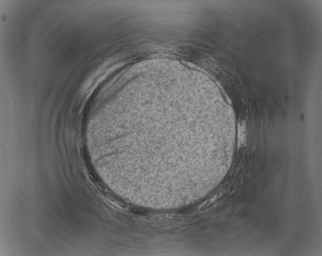 X0000062130291200601060904