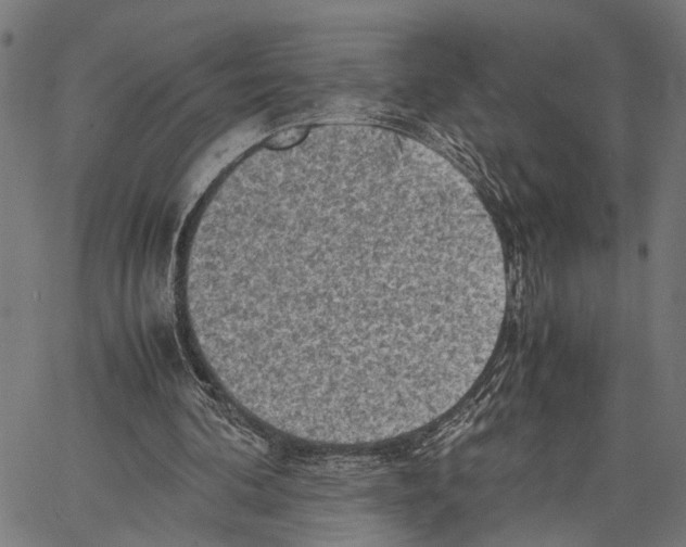 X0000062130292200601060904