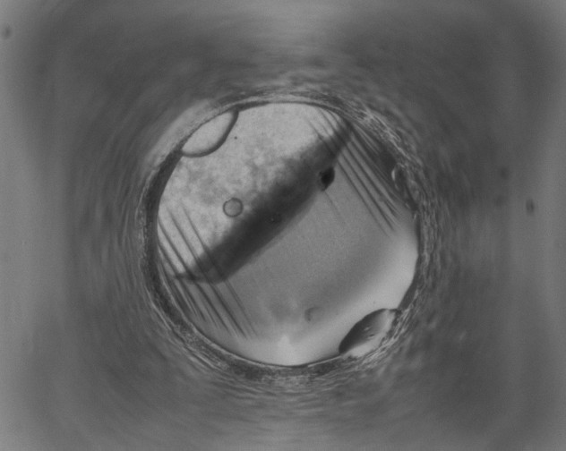 X0000062130295200601060904