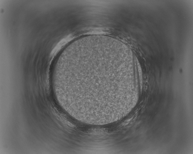 X0000062130296200601060904