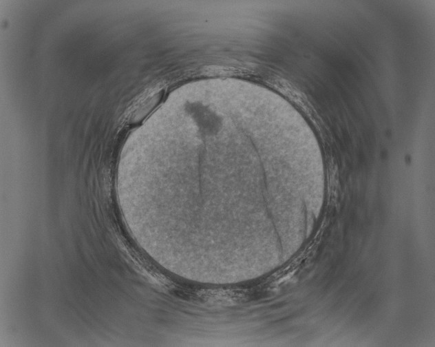 X0000062130297200601060904