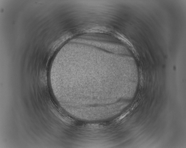 X0000062130298200601060904