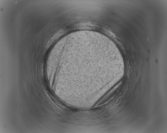 X0000062130299200601060904