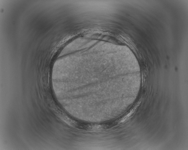 X0000062130301200601060904