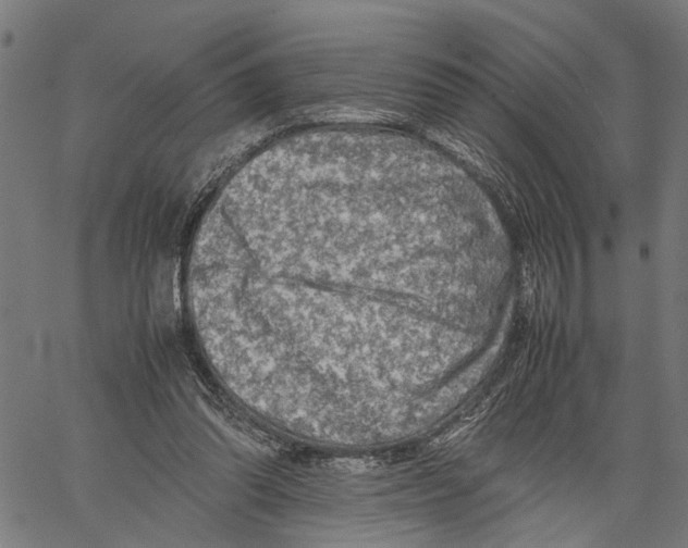 X0000062130302200601060904