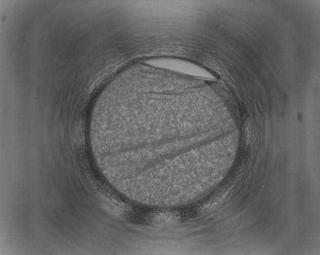 X0000062130303200601060904