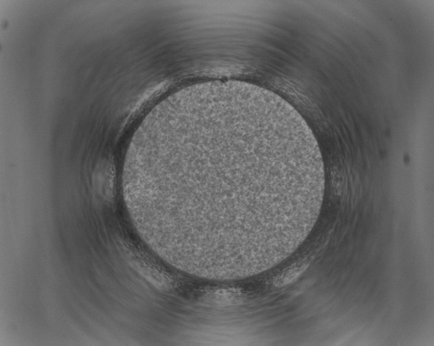 X0000062130304200601060904