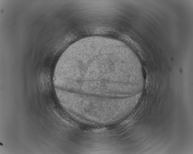 X0000062130306200601060904