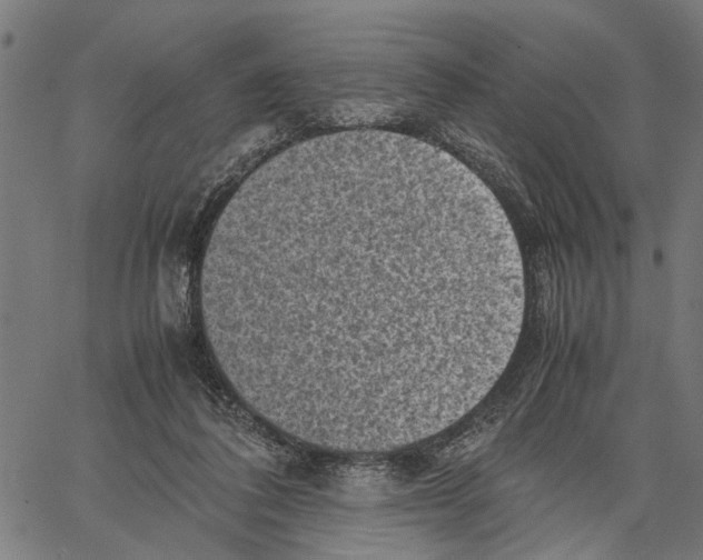 X0000062130308200601060904