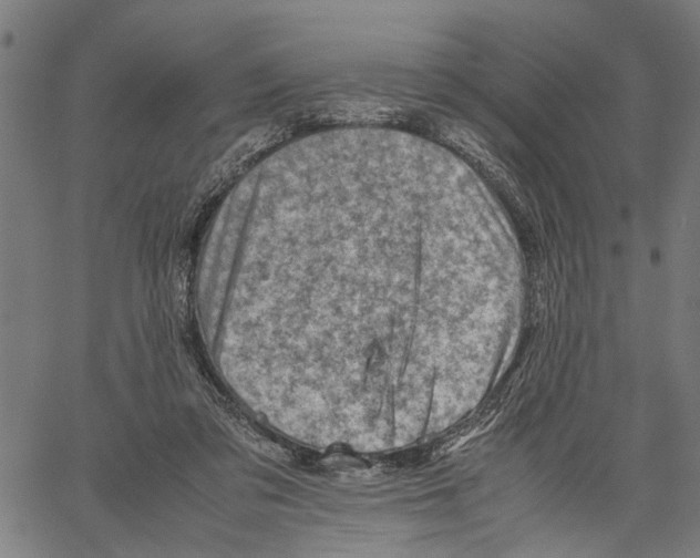 X0000062130309200601060904